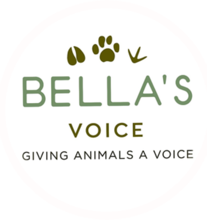 Picture of a logo for Bella's Voice