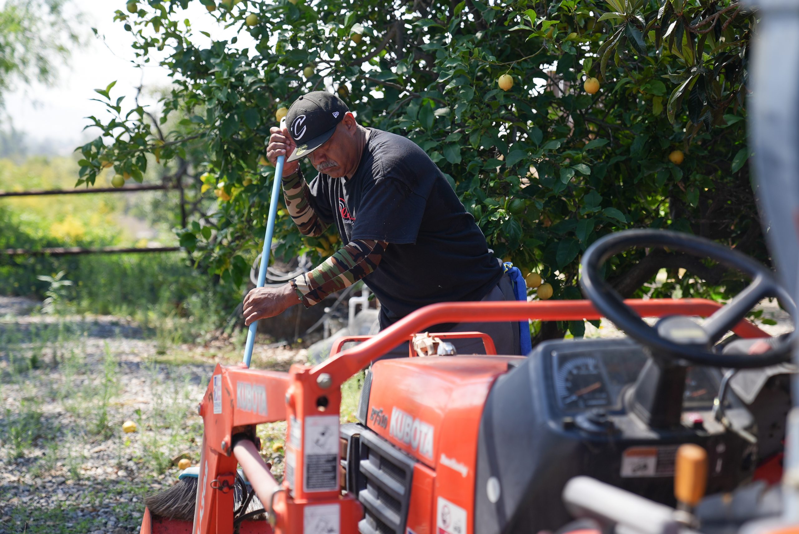 A man prepares for an estate downsizing sale by sweeping debris off of a tractor with a broom in an apple orchard.